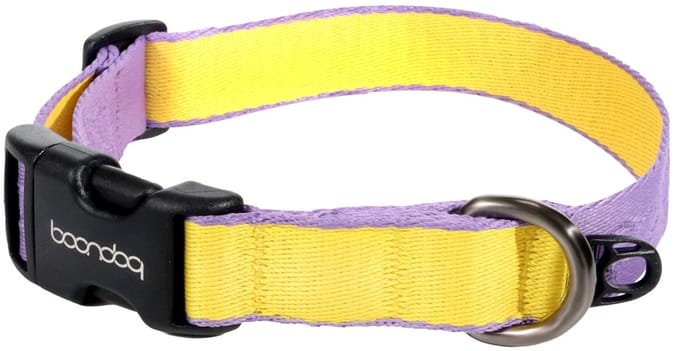 Boondog - Original Collar - Purple/Lemon - M