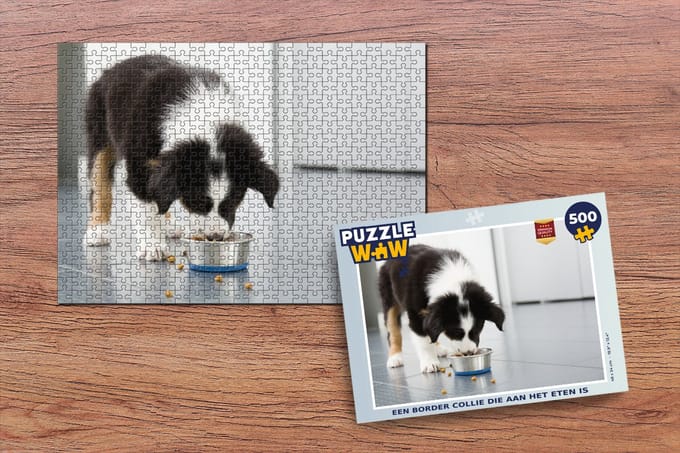 Puzzel Een border collie die aan het eten is - Legpuzzel - Puzzel 500 stukjes