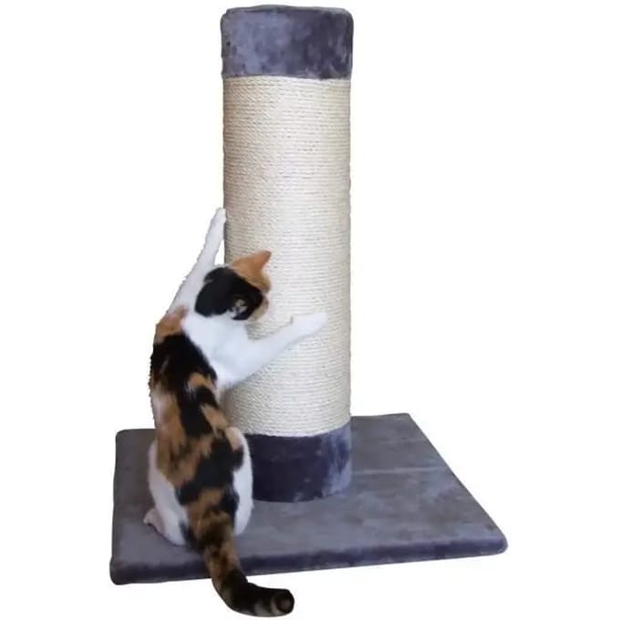 Kattenboom Kerbl Moon