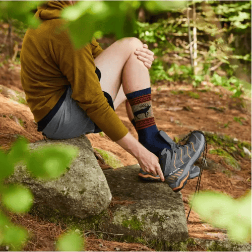 Darn Tough VanGrizzle Boot Midweight Hiking Socks Heren (Maat - L, Kleur - Eclipse)