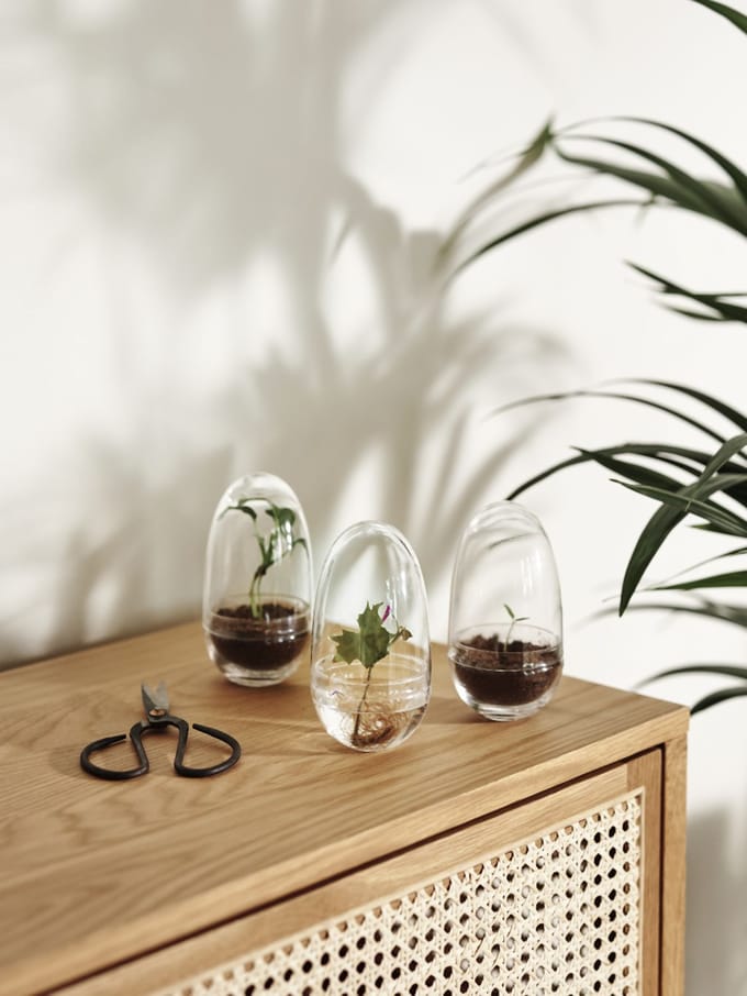 Design House Stockholm - Grow broeikas - S - transparant