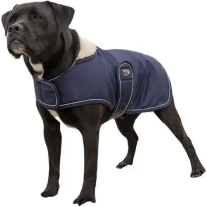 Fleece hondendeken Diego & Louna Teddy