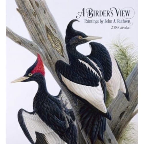 A Birder's View - A. Ruthven, John