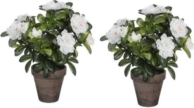 Mica Decorations Kunstplant - 2x - Azalea - groen/wit - 27 cm - Met mooie bloemen