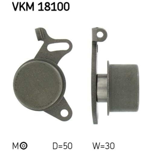 Tandriempoelie SKF VKM 18100