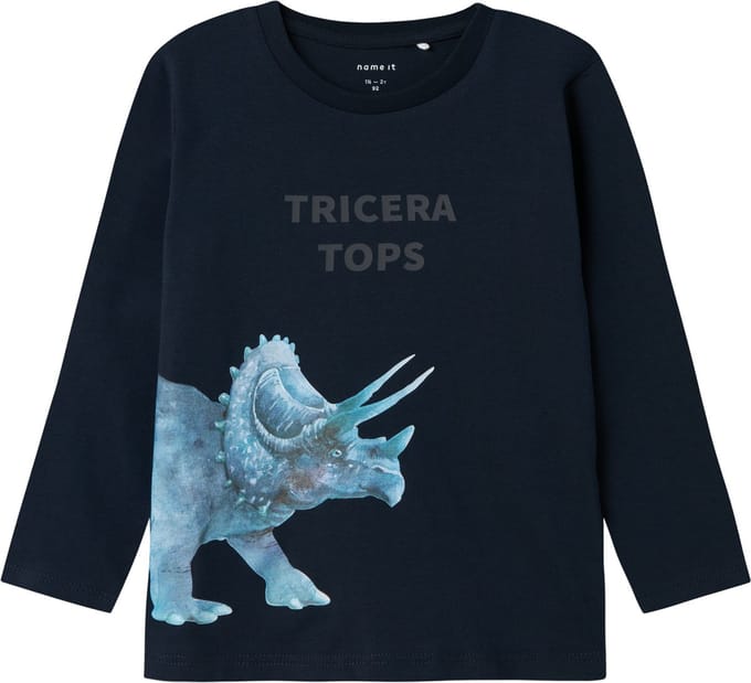 NAME IT - NMMPNULA LS TOP BOX - Jongens - T-shirt - maat 110