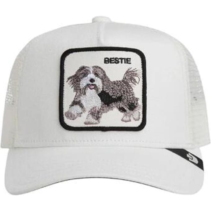 Pet Goorin Bros 101-3002-DUS01-O/S