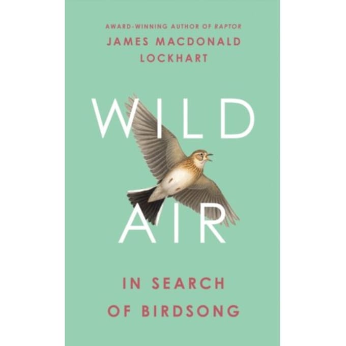 Wild Air - James Macdonald Lockhart