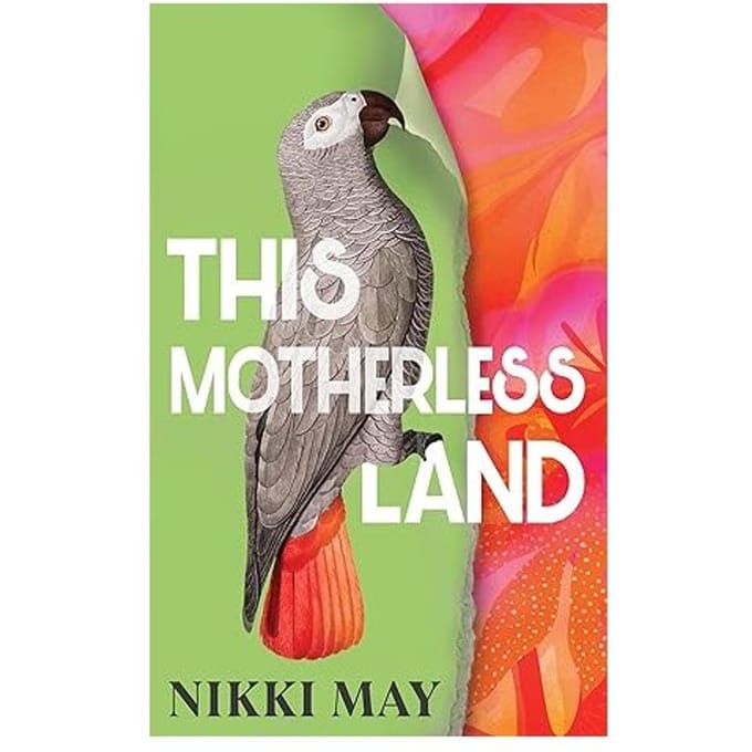 This Motherless Land - Nikki May