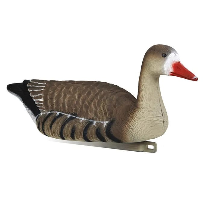 Appelants Gans  Stepland