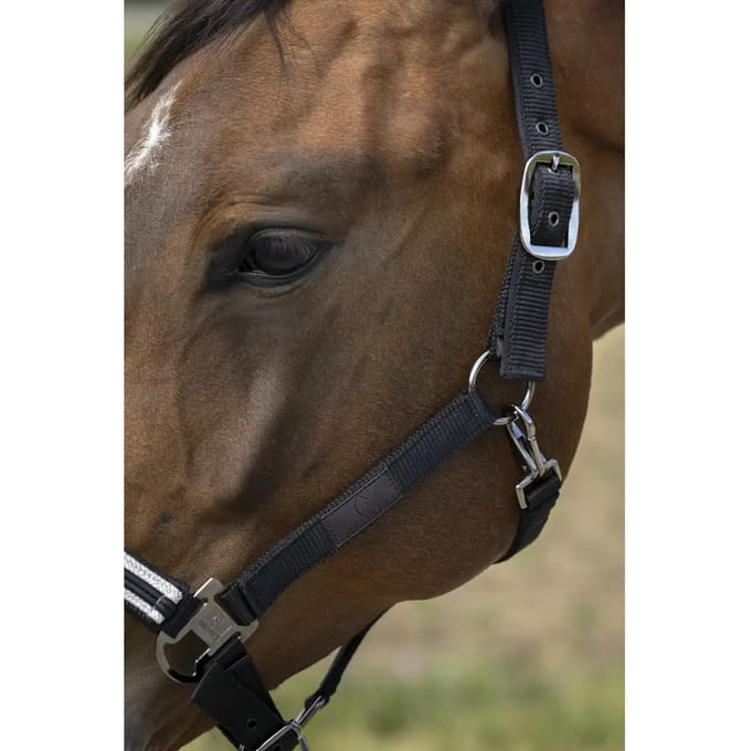 Nylon chevron halster Equithème