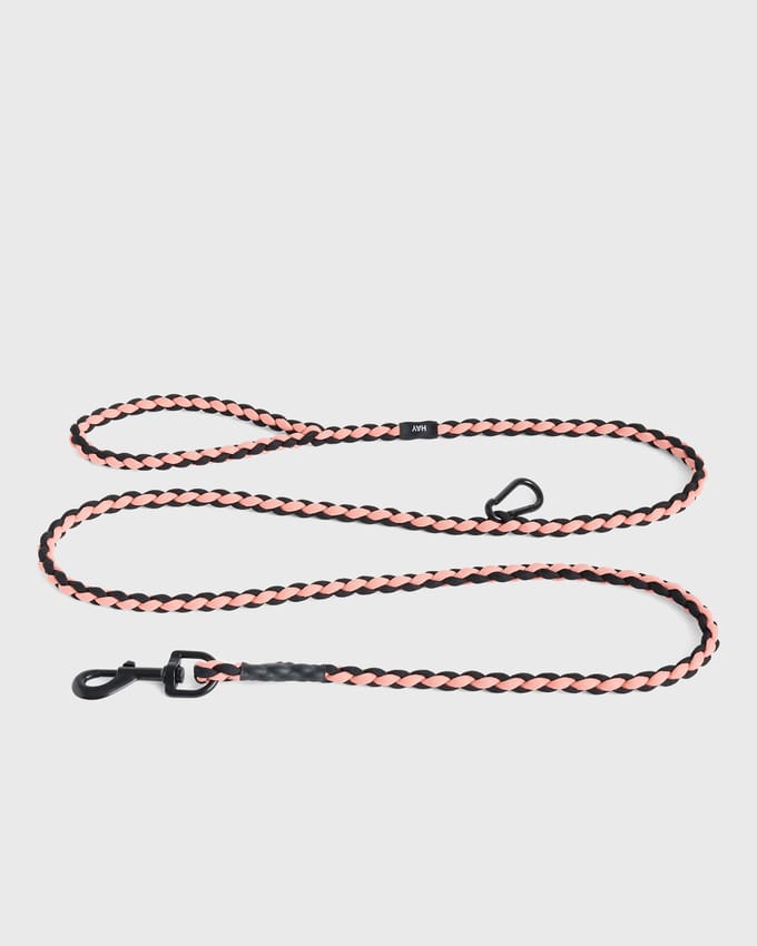 HAY Dogs Leash Braided Adjustable M/L