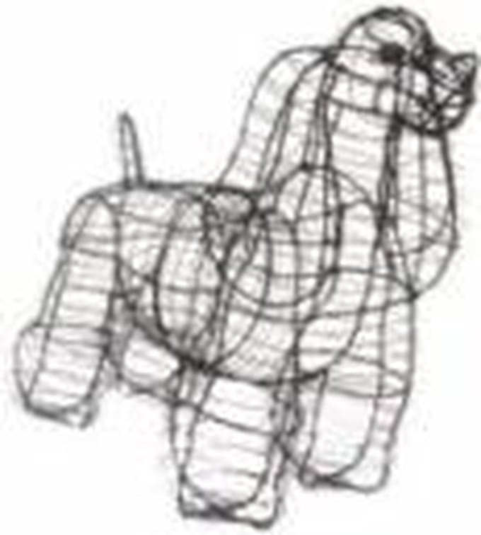 Hond Cocker Spaniel - Frame