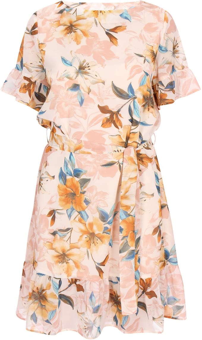 usha Dress