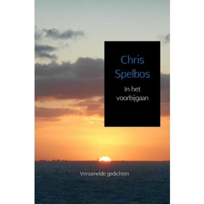 In Het Voorbijgaan - Chris Spelbos