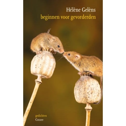 Beginnen Voor Gevorderden - Hélène Gelèns