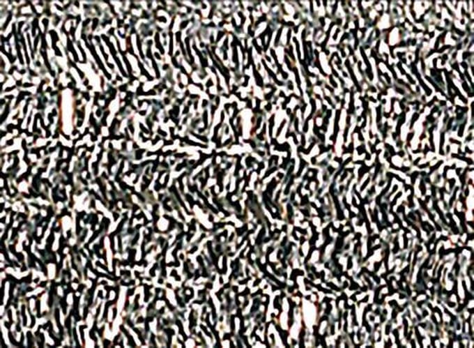 Chenilledraad Folia 50cm lang - 10 stuks zilver