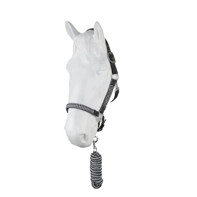 Halster en touwset voor paarden Horze Chicago