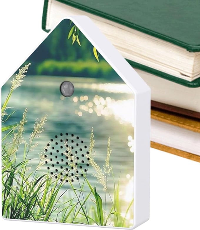 Zingende Vogelbox - Natuurgeluiden Box - Ontspanning Creëren - Bewegingssensor Timer - 18 x 12 x 5 cm - Natuurlijk