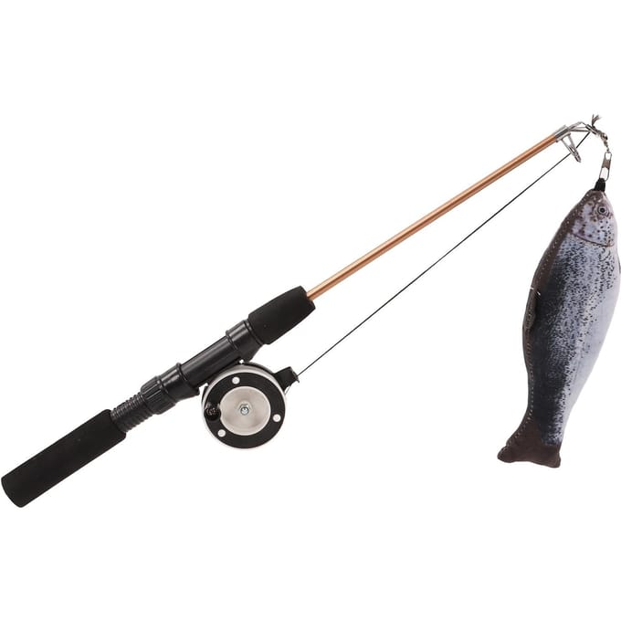 Intrekbaar Katten Pluimstok Speelgoed Interactieve Hengel met Simulatie Vis voor Katten(Zalm black