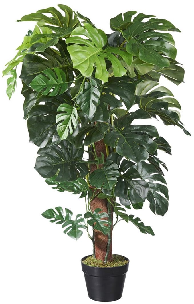 Kunstplant Monstera (mosstok) H115cm - HTT Decorations kunstplanten