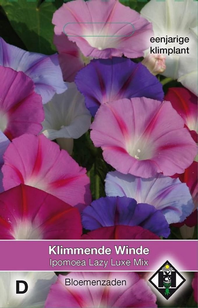 2 stuks Van Hemert & Co Ipomoea purpurea Lazy Luxe Mix