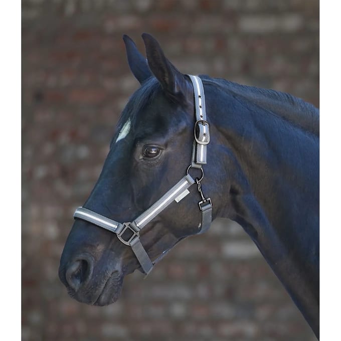 Halster voor paarden Waldhausen Reflex Stripe