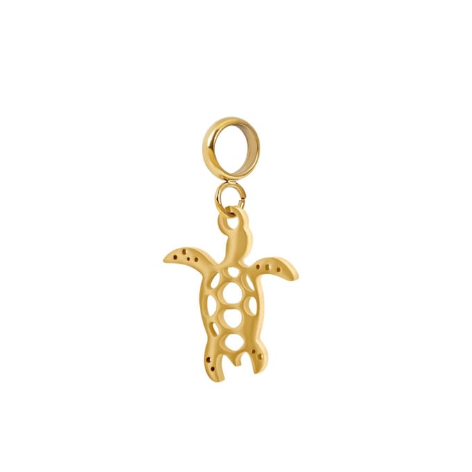 iXXXi Connect Bedel Turtle | Goud