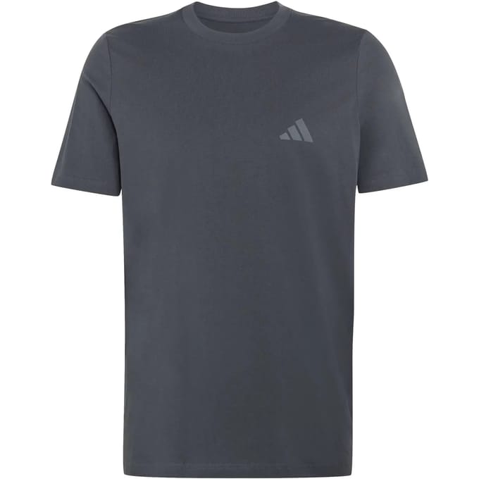 Adidas Terrex Terrex Mountain Graphic T-Shirt - Heren - Grijs