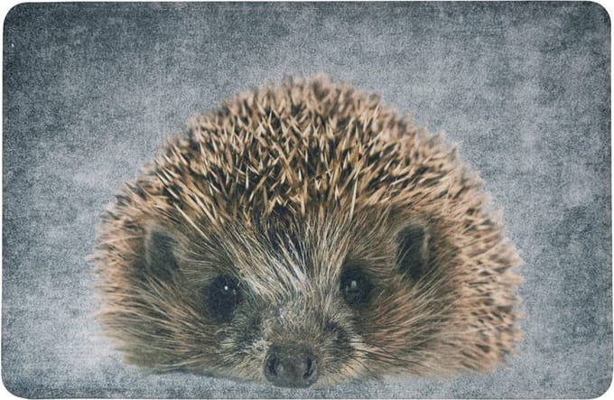 deurmat grijs egel 75x50cm