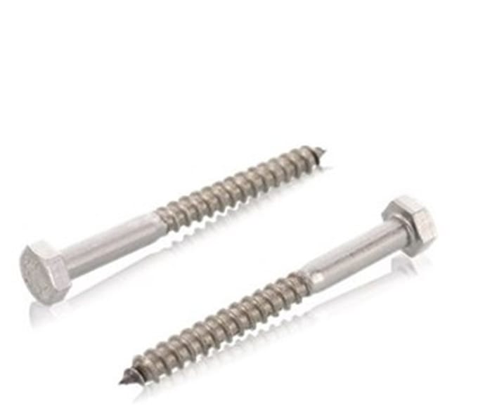 Houtdraadbout Din571 12X90Mm Rvs A2 - 25 stuks