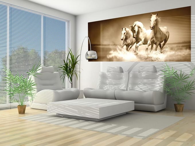 Horses  Photo Wallcovering