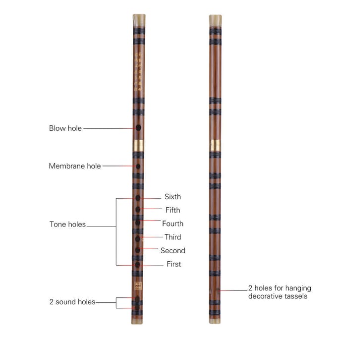 Pluggable Bitter Bamboo Flute Dizi Toonsoort G Studie Niveau Professioneel Key of D bruin