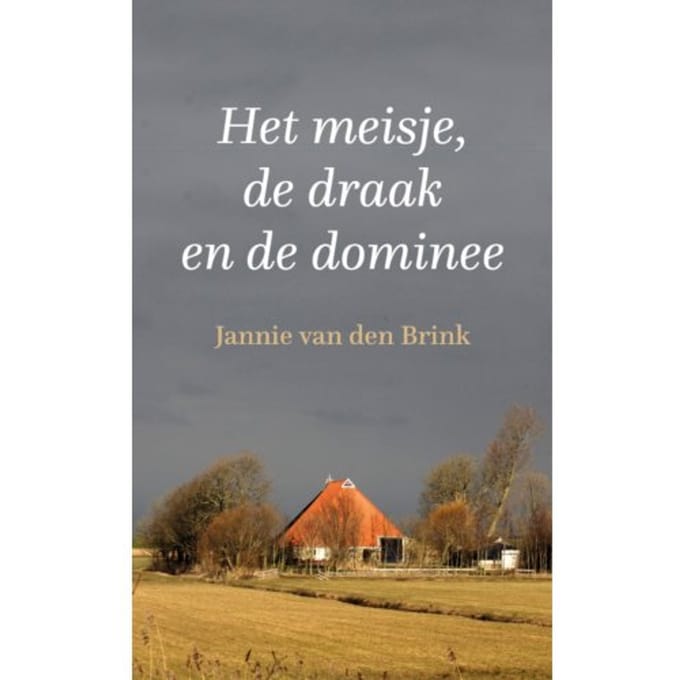 Het Meisje, De Draak En De Dominee - Jannie van den Brink