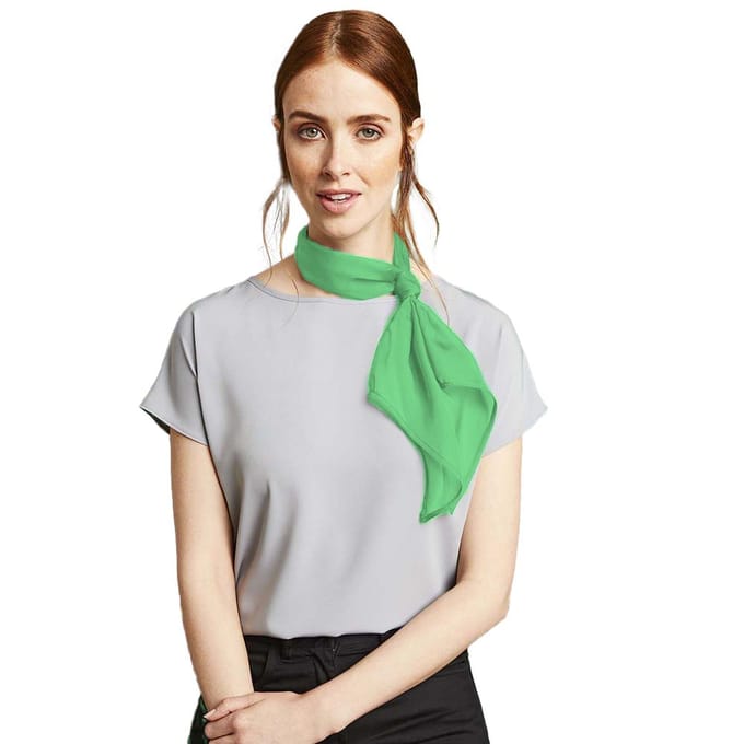 Premier Dames/vrouwenwerk Chiffon Formele Sjaal (Apple)