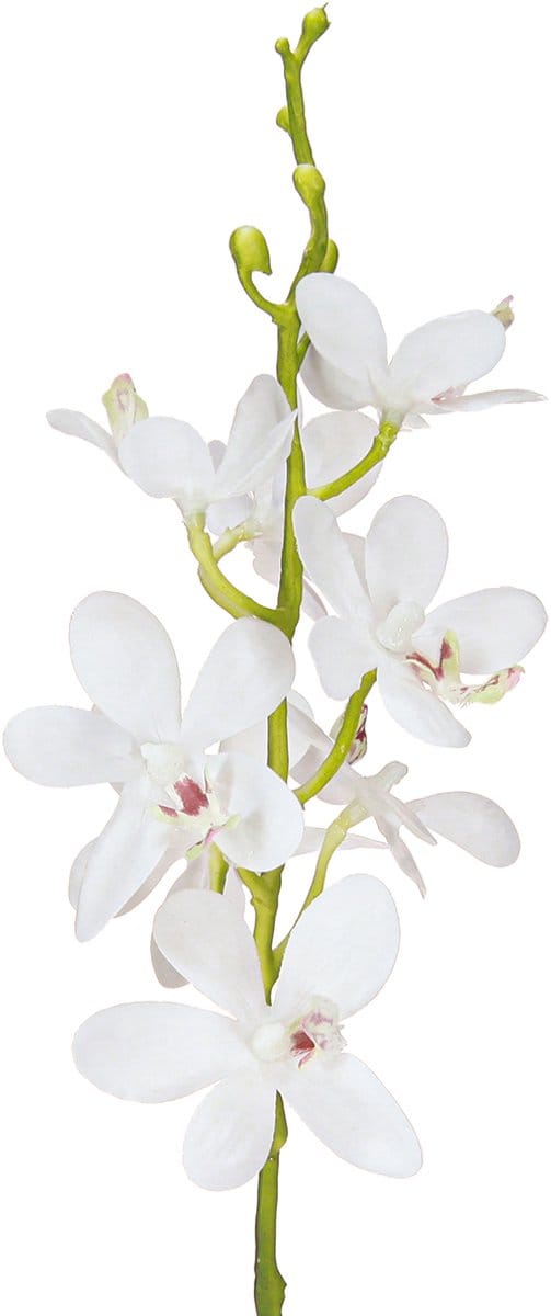 Kunstmatige orchideeën witte bloesem Ø3,5–5 cm L38 cm 2 stuks, 2 Stück
