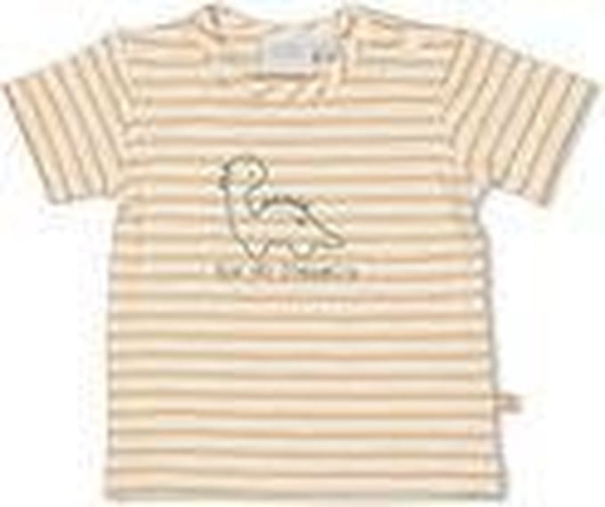 Feetje T-Shirt Streep Dinomite Peach MT.68