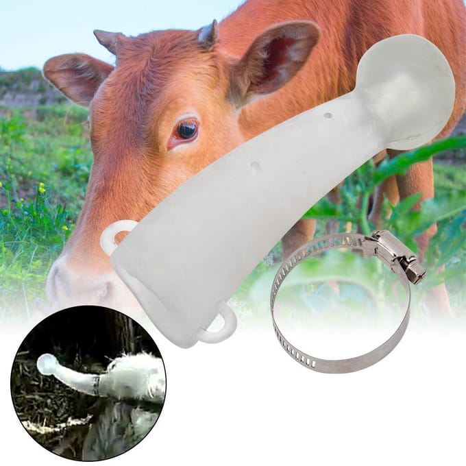 Coin Arrondi Silicone Sûr Vache Veau Bétail Taureau Corne Anti-combat Protection Protecteur white