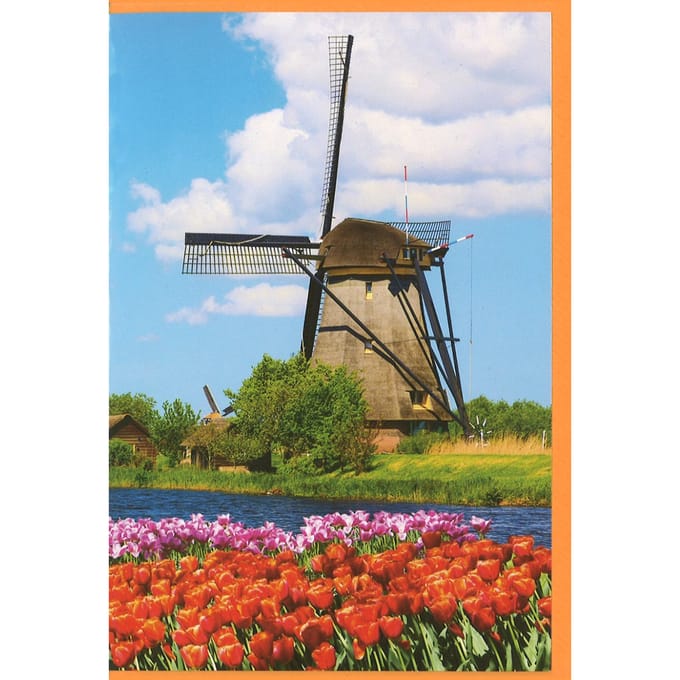 MGPcards - 6x dubbele wenskaart met envelop - Blanco - Bloemen - 11,5 x 17 cm