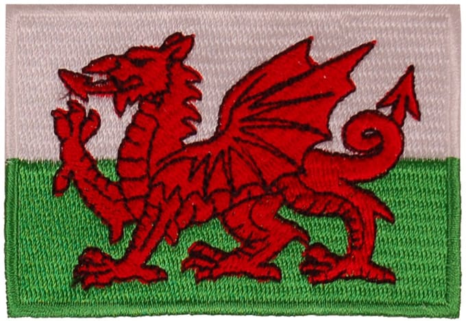 Strijkapplicatie/Patch - Vlag Wales - 8x6cm