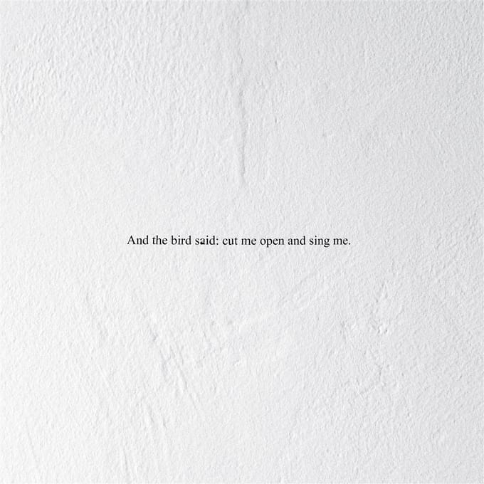 Prairie - And the Bird Said: Cut Me Open and Sing Me (LP)