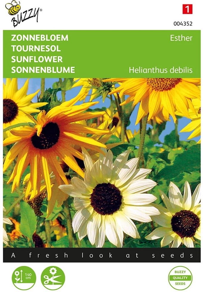 Buzzy Seeds - Zonnebloem Mix (Helianthus cucumerifolius)