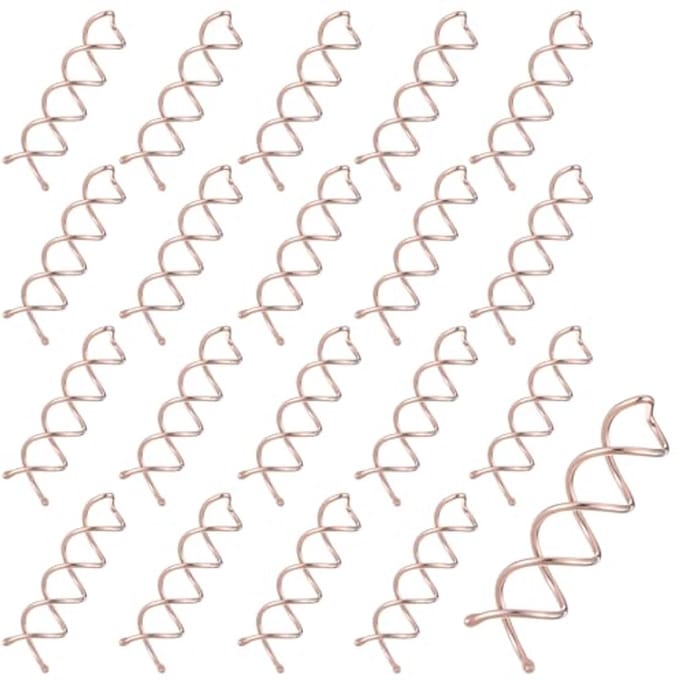 Pack van 20 Spiral Haarclips voor Diverse Haardrachten