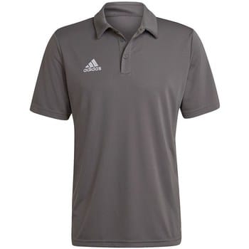 Polo Shirt Korte Mouw adidas Polo Entrada 22 coton