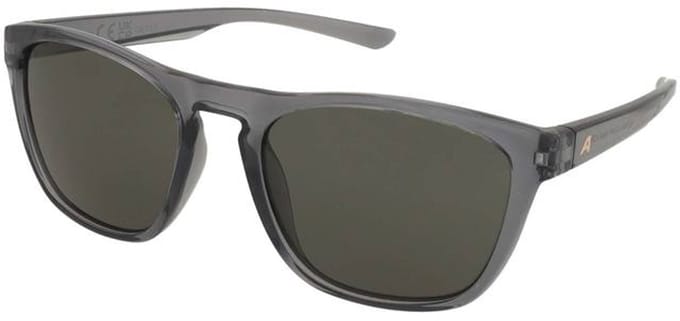 Zonnebrillen Alpina Gleam Grey Transparent Gloss/Green