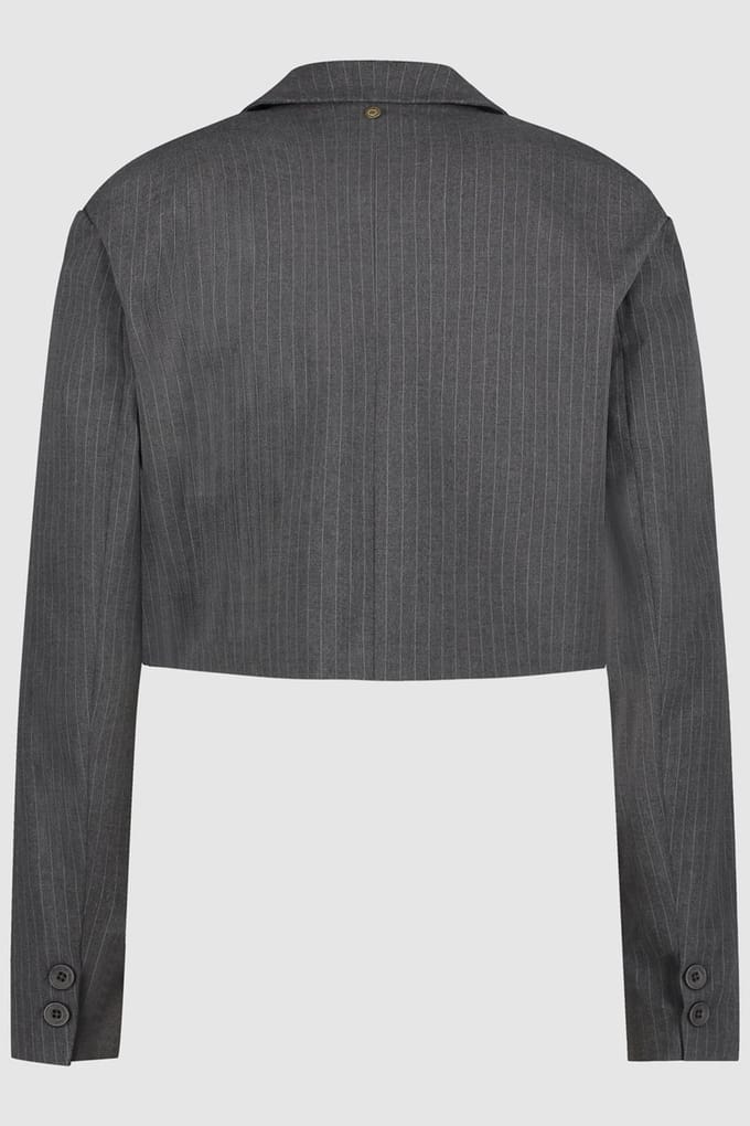 Circle of Trust Laura Blazer Dark Grey Stripe Taglia: M | Blazers Outlet | Donna | Grigio