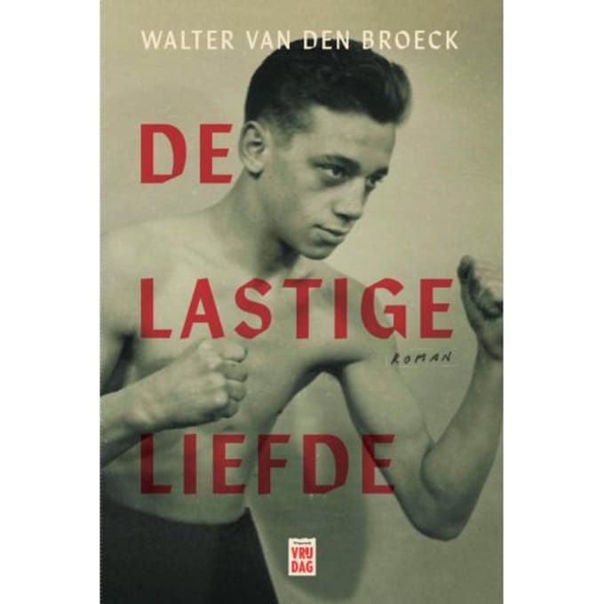 De Lastige Liefde - Walter Van den Broeck