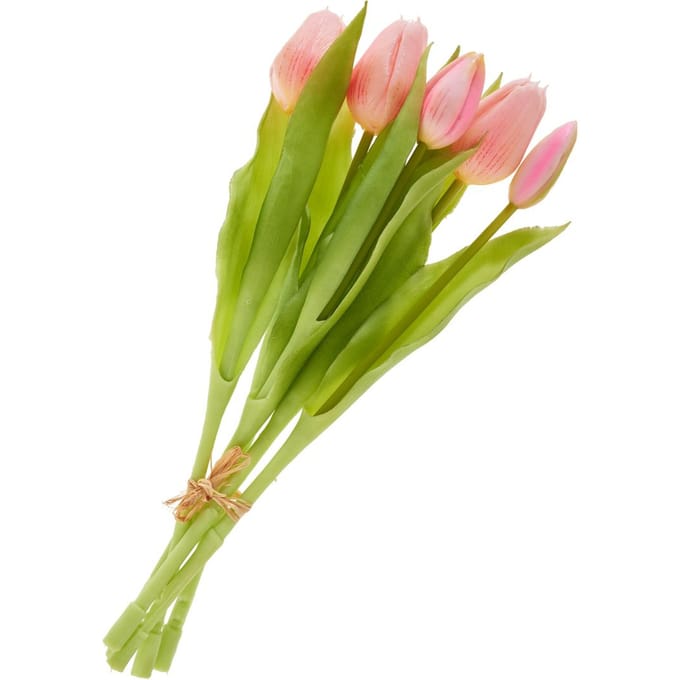 Tulpen bos met 3 bloemen en 2 knoppen - Light Rose