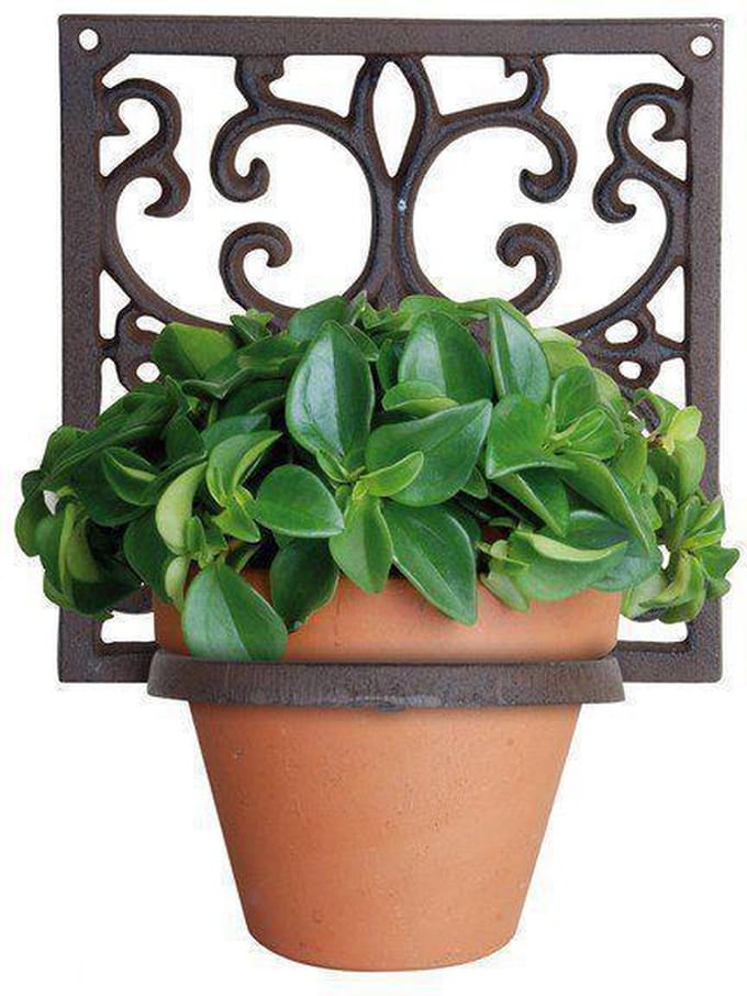 Bloempothanger klassiek 1 pot  (excl. pot)