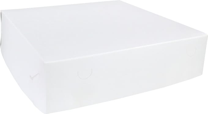 Zwanenhals/ verzenddoos | karton | 36x36x9cm | duplex | wit | 50 stuks